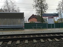 Сокольники под Зеленоградском готовят к сплошной застройке как на Сельме