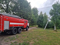 В Гвардейском районе пожарные спасли живых символов Калининградской области