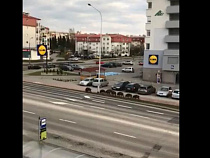 Восемь диких кабанов гуляли возле гипермаркета в Ольштыне (видео)