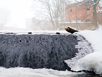 Калининградские форты стали частью туристического проекта «Серебряное ожерелье России»