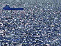 Калининградстат: средняя зарплата в рыболовстве достигла 75 309 рублей