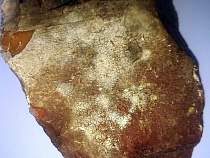 Янтарный комбинат провалил торги сырьём