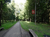 Ради парка миниатюр в Черняховске вырубят 14 деревьев в Парке Победы