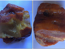 На янтарном комбинате добыли «Россиянина»