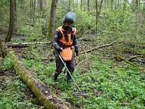 В Калининградской области нашли две мины и один артснаряд