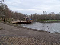 Алиханову рассказали о состоянии парка в Зеленоградске