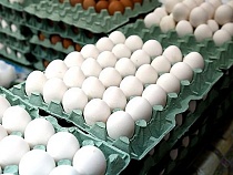 В Калининград снова подвезли яйца из стран НАТО 