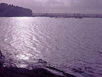 Калининградская область частично ушла под воду