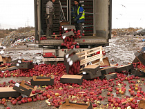 В Калининграде таможня расправилась с 20 тоннами польских яблок