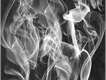 По факту гибели 60-летней калининградки в своей квартире возбуждено уголовное дело 