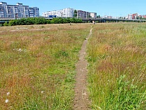 «У нас засуха»: эксперт обозначила реальное положение Калининграда