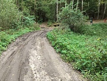 Нацпарк Виштынецкий хочет отремонтировать дорогу при помощи местных