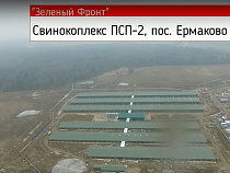 Крупный свинокомплекс под Калининградом работает без официального ввода в эксплуатацию (видео)