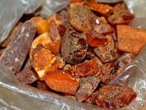 Под Калининградом полицейские привлекли к ответственности 30 незаконных добытчиков янтаря