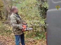 Под Калининградом назвали наказание за поругание растущего символа России