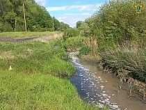 Прокурор назвал «Балтптицепром» загрязнителем реки в Калининградской области