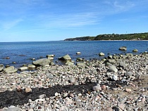 В Филинской бухте прямо в море стали сливать непонятные стоки