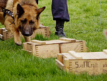 В Калининграде, на улице Киевской, нашли артснаряды времён штурма Кёнигсберга