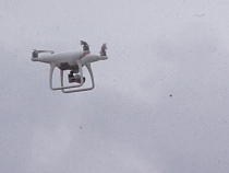 В Калининградской области расставляют видеоловушки и запустят квадрокоптер