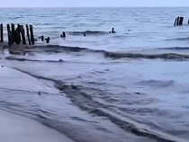 Море у будущего курорта Калининградской области стало чёрным