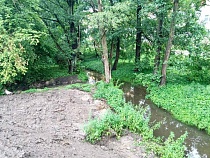 Реку в Калининграде скормили нечистотам бизнеса