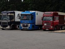 Два дня во всех литовских пунктах пропуска не будут принимать электронные декларации