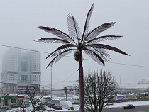 Что случилось 18 августа 2016 года: день рождения Зиничева, готовность к зиме, ЧС с урожаем и рыба-меч в Светлогорске