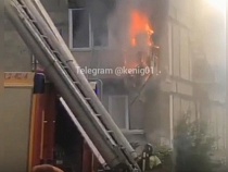 В МЧС сообщили подробности о пожаре в Васильково 