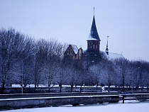 ФАС: Калининградская фирма занесена в реестр недобросовестных поставщиков