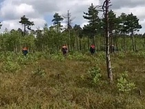 Пенсионер сутками выживал у гиблого болота в Калининградской области