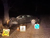 Дерево остановило пьяного гонщика на «Фольксвагене»