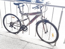 Мэрия Калининграда ищет забывчивого хозяина велосипеда