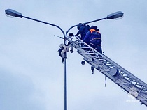 Аиста с мачты на трассе Калининград - Чернышевское снимали пожарные