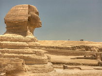 Сегодня из Египта вернутся 236 калининградцев