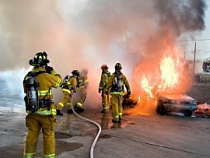 МЧС: рядом с автострадой сгорел «Фольксваген Гольф»