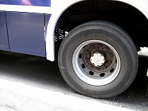 В игорную зону «Янтарная» будет ходить автобус из Светлогорска