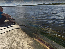 Авария на очистных угрожает уничтожить жизнь в польской Висле