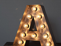 Калининград на одну неделю превратится в большую выставочную площадку