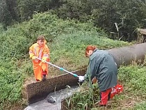 Светловский водоканал уличили в деградации водоёмов