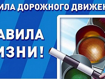 Калининградцам расскажут о правилах ПДД в «Аквариуме»