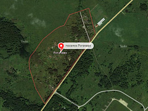 Поселок под Зеленоградском хотят переименовать после Нового года