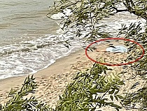 В Зеленоградске утонула пенсионерка из Санкт-Петербурга