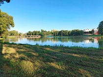 В Советске 20-летнему студенту выплатят 60 тыс. руб. за укус собаки