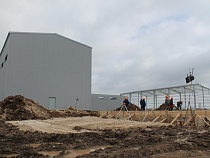  Янтарьэнерго: от биотехнологического завода под Правдинском не поступало заявок на дополнительное техприсоединение