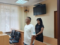 В Калининградской области грибник зашёл не в те кусты