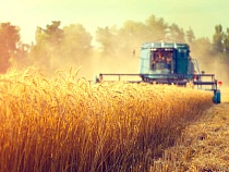 РСХБ: лучше и больше – основные тренды рынка продовольствия в 2022 году