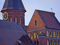 Калининградские общественники вошли в десятку Фонда президентских грантов