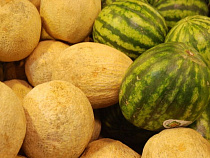 Роспотребнадзор назвал места, где можно покупать квас и арбузы в Калининграде и области (список)