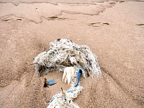 Калининградка: Куршская коса завалена пластиком 