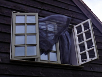 3 октября ветер в Калининградской области усилится до 25 м/с